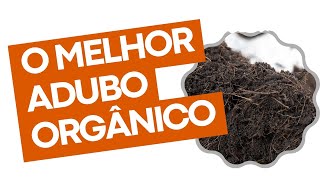 O melhor adubo orgânico