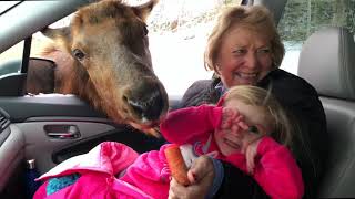 Parc Omega