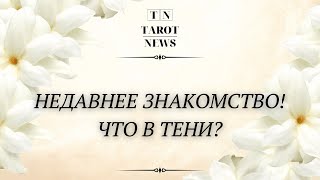 НЕДАВНЕЕ ЗНАКОМСТВО! ЧТО В ТЕНИ?