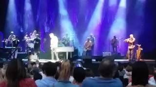 Feel Flows - Brian Wilson - Lyon Fourvière 2017