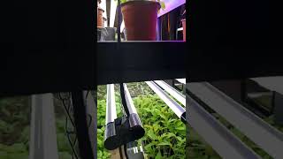 https://youtube.com/@TheHappyGardener