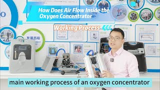 How Does The Air Flow Inside The Oxygen Concentrator/Working Process/Oxygen therapy/COPD patients?