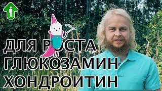 Глюкозамин Хондроитин увеличение роста