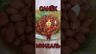 САНЁК И МИНДАЛЬ #лего #дальнобойщики #экшен #дальнобойщик