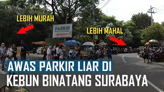 AWAS PARKIR LIAR KEBUN BINATANG SURABAYA, CEK BIAR NGGAK NYESAL