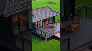 Rumah Kayu Modern di Tengah Hamparan Sawah Hijau #home #rumahmungil #desainrumah #rumahimpian