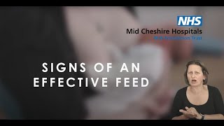 Signs of an effective feed | British Sign Language