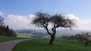 #18 Die Grenzen des Waldviertels (Nöchling - Leitgeblehen, Stiegeramt)