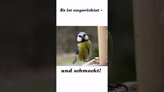 Das kleine Glück jeden Tag - 366 Wohlfühlmomente /28