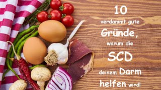 10 verdammt gute Gründe, warum die SCD auch deinem Darm helfen wird!