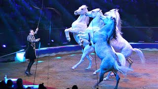 HORSES OF THE WORLD • THE SWISS NATIONAL CIRCUS