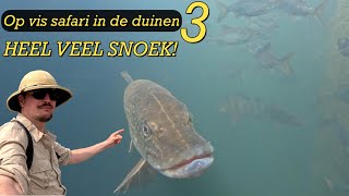 ZO VEEL SNOEK IN HELDER WATER! - Op safari in de duinen 3