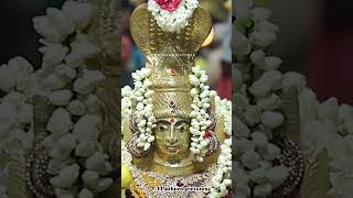 வீரபாண்டி கௌமாரியம்மன் #திருவிழா #ammansongs #Trening #veerapandikowmaariamman#Virapaandithiruvizha