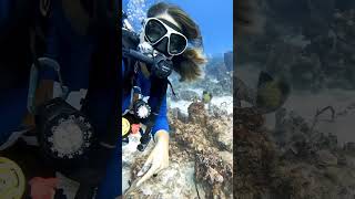 hot scuba diving woman