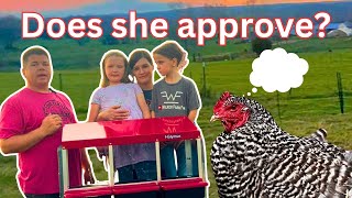 Moving to greener pastures!  Will the chickens like their new nesting box?