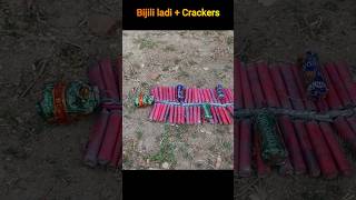 Bijili ladi cracker combo testing | Diwali ke experiment | Patakhe ki video #crackers #fun #diwali