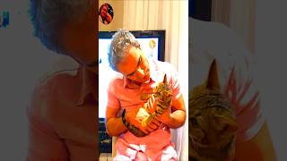 #مهمان ناخوانده #shortsvideo #shorts #videoshort #viralvideo #cat #tiger #reels #viralshort