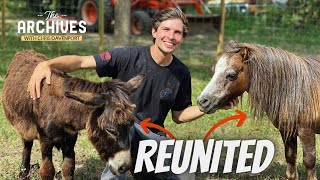 We bought our Mini Donkeys BEST FRIEND/ Reunited on the Farm!