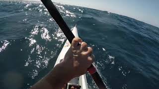 Downwind Ocean Paddle Dicky Beach to Moloolaba