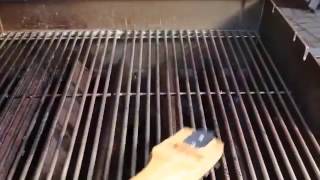 Weber Grills Gas GRILL CLEANING