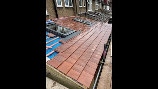 Week 5 Progress on Our Extension Build | S & M Solutions LTD Time-Lapse