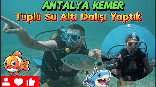 ANTALYA KEMER TÜPLÜ SU ALTI DALIŞI YAPTIK VLOG 2 #antalya #antalyakemer #tüplüdalış #sualtı