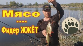 Мясо….Фидер жжет. Пять видов рыбы...bogomaz05