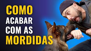 O FIM DAS MORDIDAS - APRENDA o que fazer para seu cachorro PARAR DE MORDER