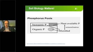 Management Strategies to Improve Phosphate and Potassium Fertilizer Use Efficiency