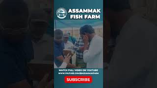 The World Bank's Team Visit to Assammak Fish Farm