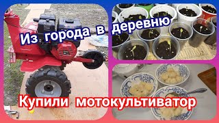 Небольшая закупка! Купили мотокультиватор и трубы для забора! Вкусный ужин!!!!