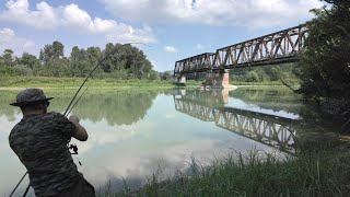 Sessione in fiume a Carpfishing (seconda parte) 🤙🏻🎣