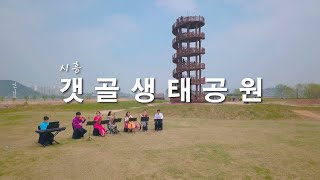 드론으로 바라본 "갯골생태공원" (Drone ) | 4K