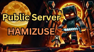 Public server | HAMIZUSE