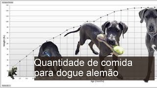 Quantidade de comida para dogue alemão