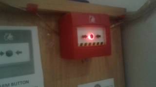 My fire alarm test 41.