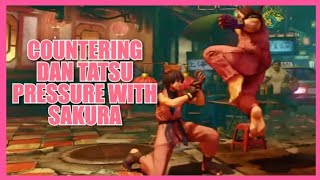 SFV: How to Counter Dan's Light Tatsu pressure with Sakura