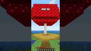 MINECRAFT : SMALLEST BASES AT EVERY AGE😍 (WORLD'S SMALLEST VIOLIN) #minecraft #shorts