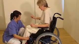 Handicare Transfer Aids: SitWalk