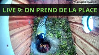 LIVE 9 : ON COMMENCE A PRENDRE DE LA PLACE ! maman nous agrandit le trou les soirs