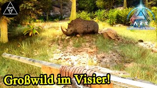 Die etwas anderen Einhörner! Wütendes Wollnashorn! ► ASA E117 - ARK: Survival Ascended