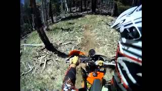 BOONIEBASHER IN THE WOODS KTM TWO STROKE