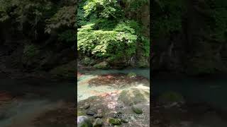 Kinomata Valley - Tochigi, Japan #Shorts