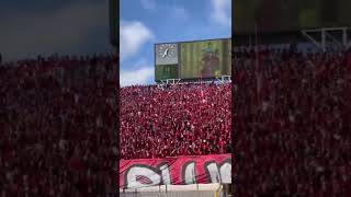 ultras WINNERS 2005 AHLAWY AHLAWY🔥❤️ #winners #wydad #wac #الوداد #shorts #الوداد_الرياضي