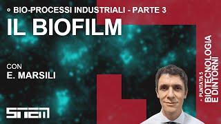 Bioprocessi industriali - Il Biofilm