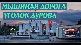 Мышиная железная дорога. Уголок Дурова. Классное представление для самых маленьких!