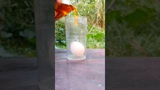 Will the egg 🥚 survive for 30 days? #shorts #short #experiment