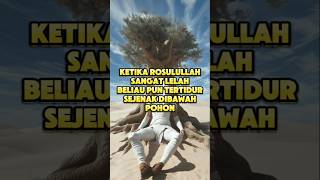 ketika rosulullah sangat lelah tertidur dibawah pohon tiba tiba ada seorang pria