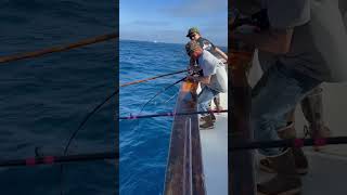 Pacific Queen fishing! Rough seas and full moon!