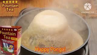 Wish you all Happy pongal from Fountain Tea.